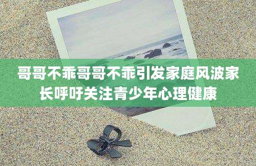 哥哥不乖哥哥不乖引发家庭风波家长呼吁关注青少年心理健康