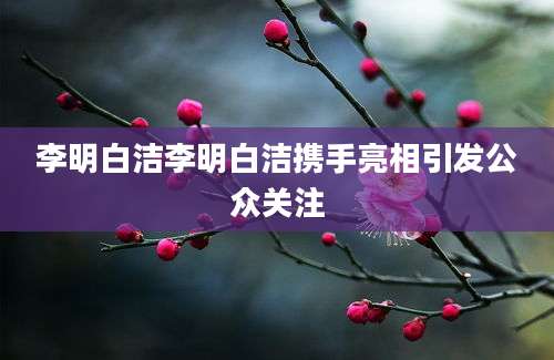 李明白洁李明白洁携手亮相引发公众关注
