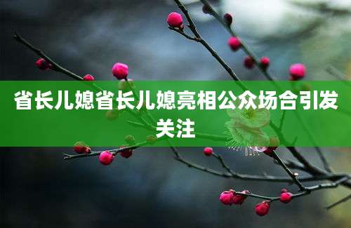 省长儿媳省长儿媳亮相公众场合引发关注