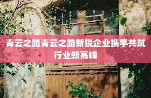 青云之路青云之路新锐企业携手共筑行业新高峰